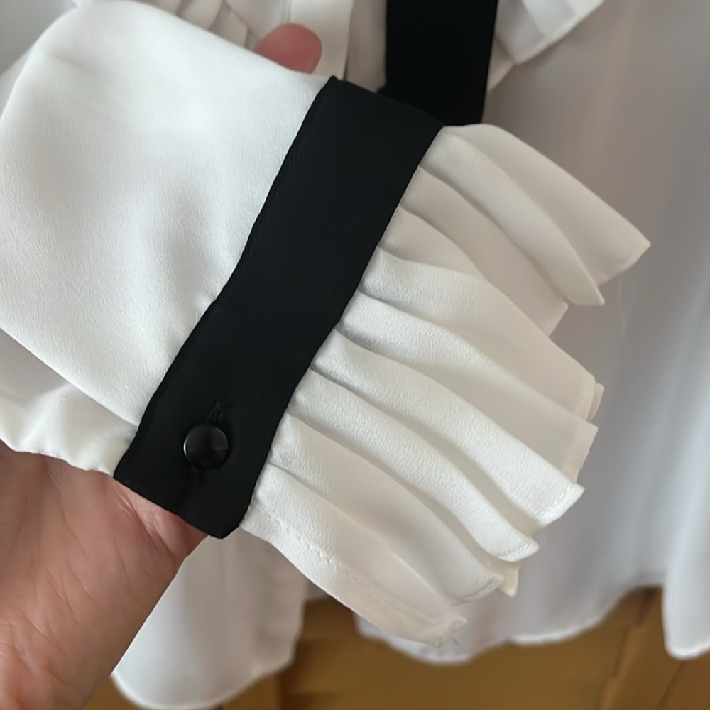 Zara Ruffle Top (S) - Picture 3 of 7